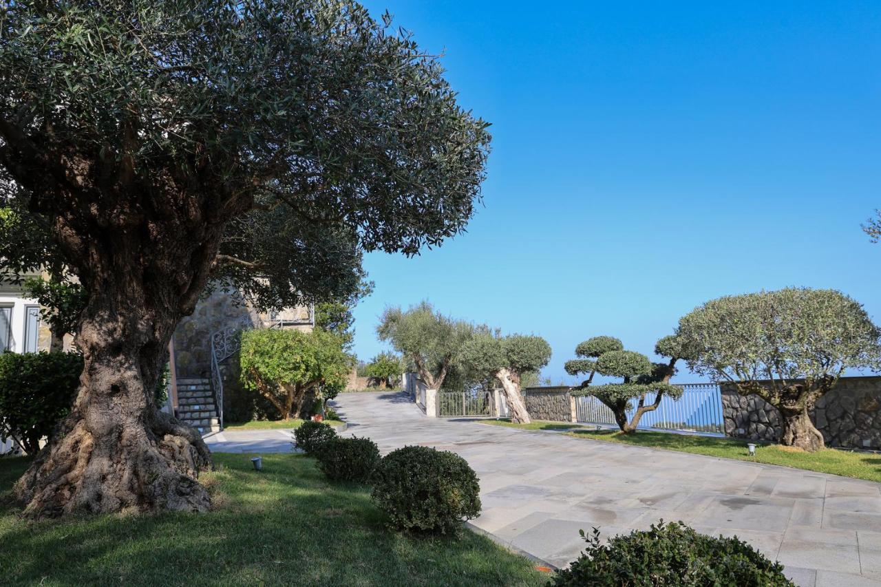 Villa Italia Sorrento Termini Extérieur photo